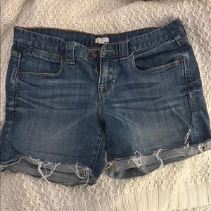 J. Crew Denim Blue Women's Shorts
